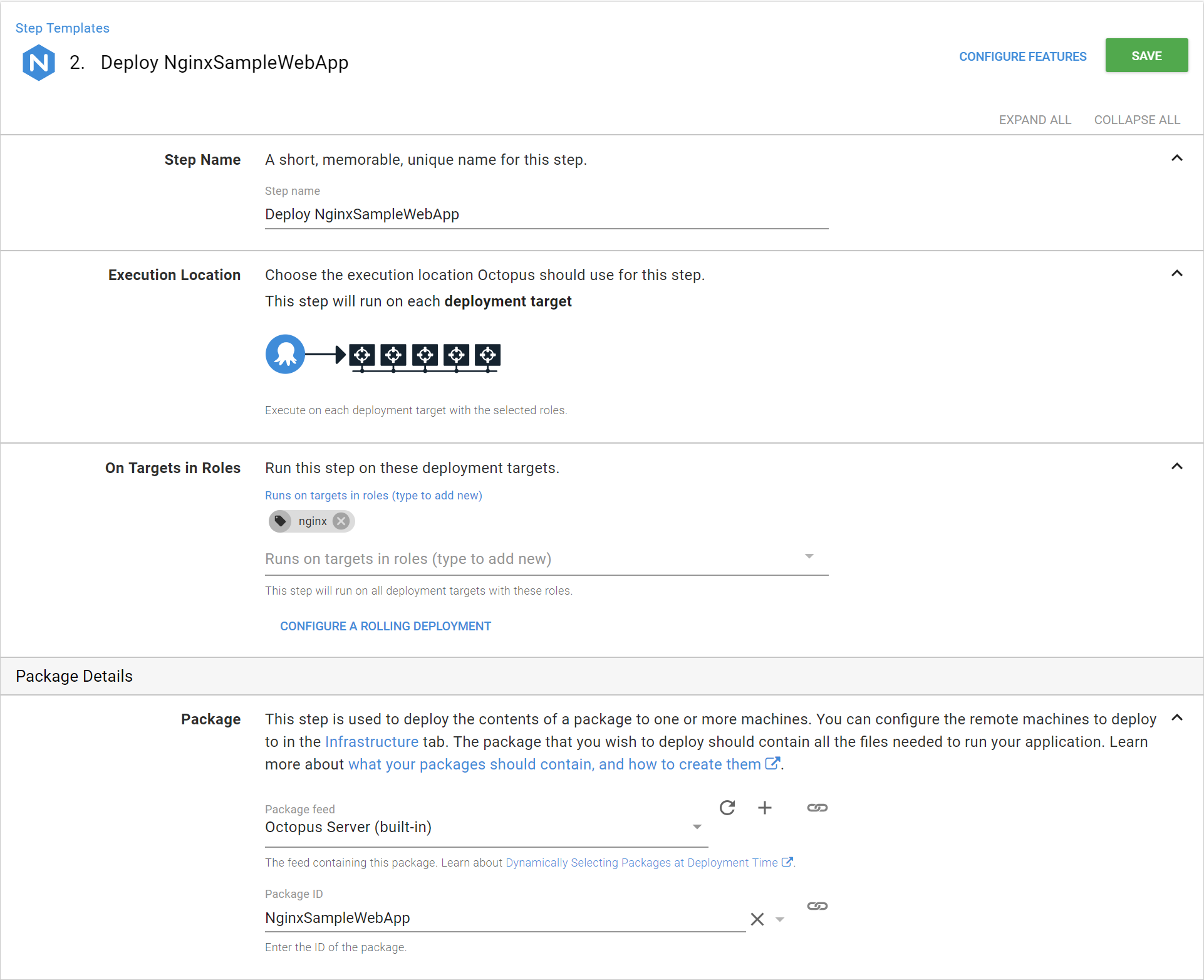 The step name, target tag and NGINXSampleWebApp package ID